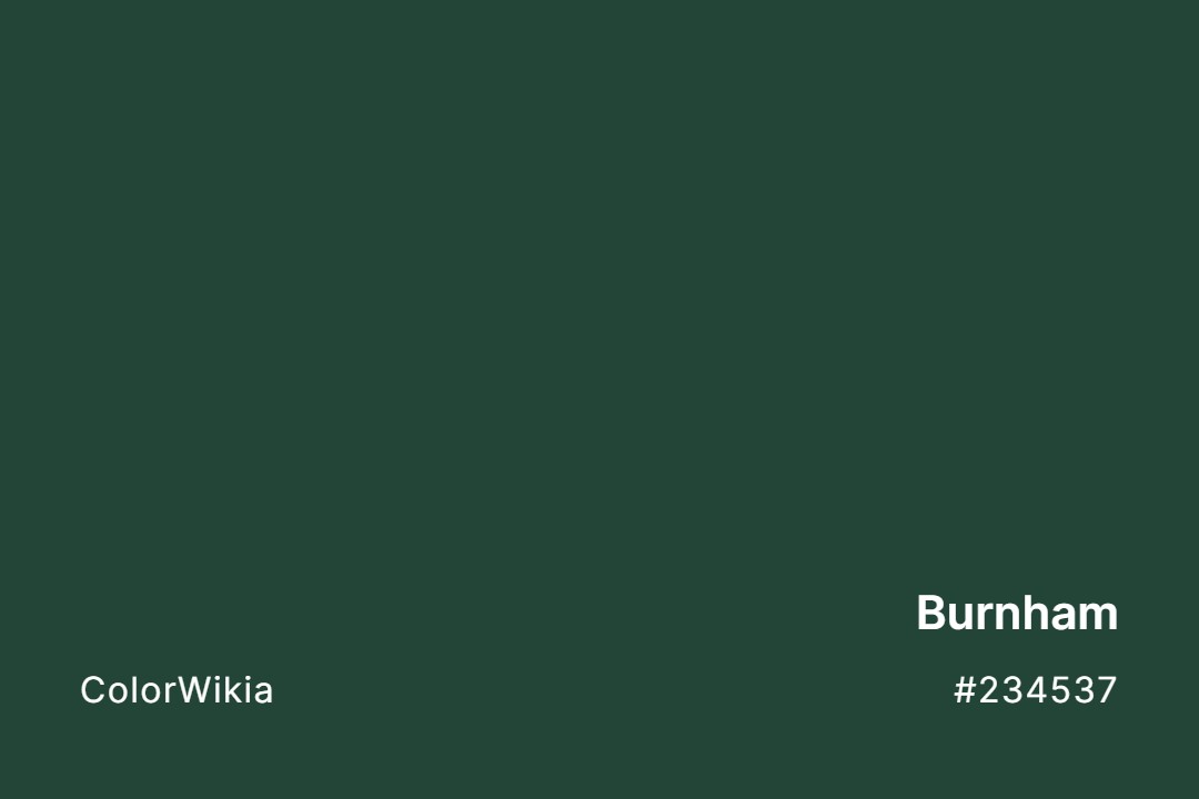 Burnham Color – #234537: Codes and Complete Breakdown
