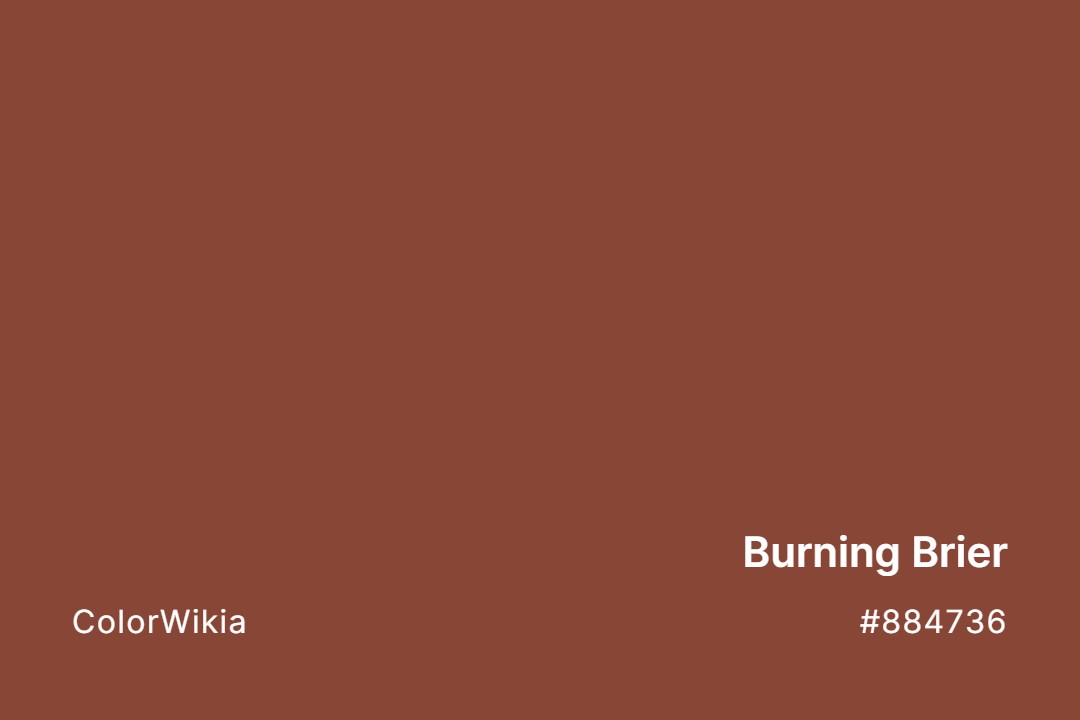 Burning Brier Color – #884736: Codes and Complete Breakdown