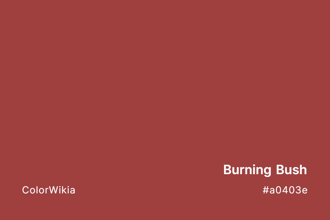 Burning Bush Color – #a0403e: Codes and Complete Breakdown