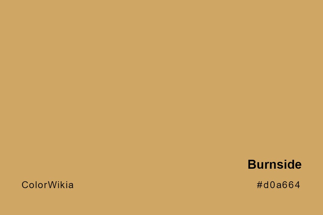 Burnside Color – #d0a664: Codes and Complete Breakdown