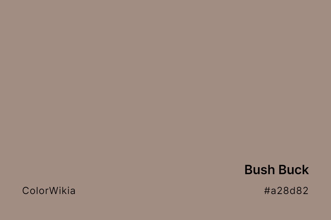 Bush Buck Color – #a28d82: Codes and Complete Breakdown