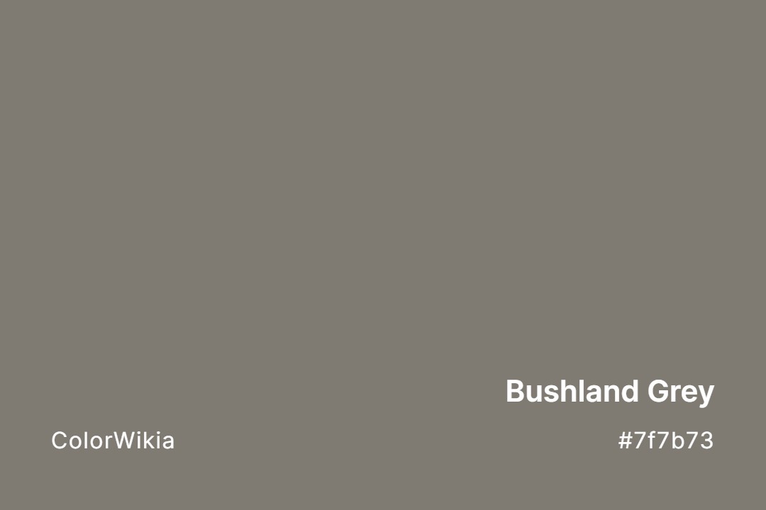 Bushland Grey Color – #7f7b73: Codes and Complete Breakdown
