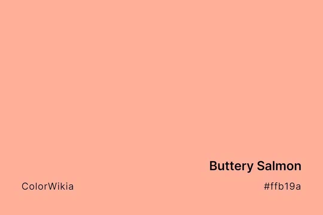Buttery Salmon Color – #ffb19a: Codes and Complete Breakdown