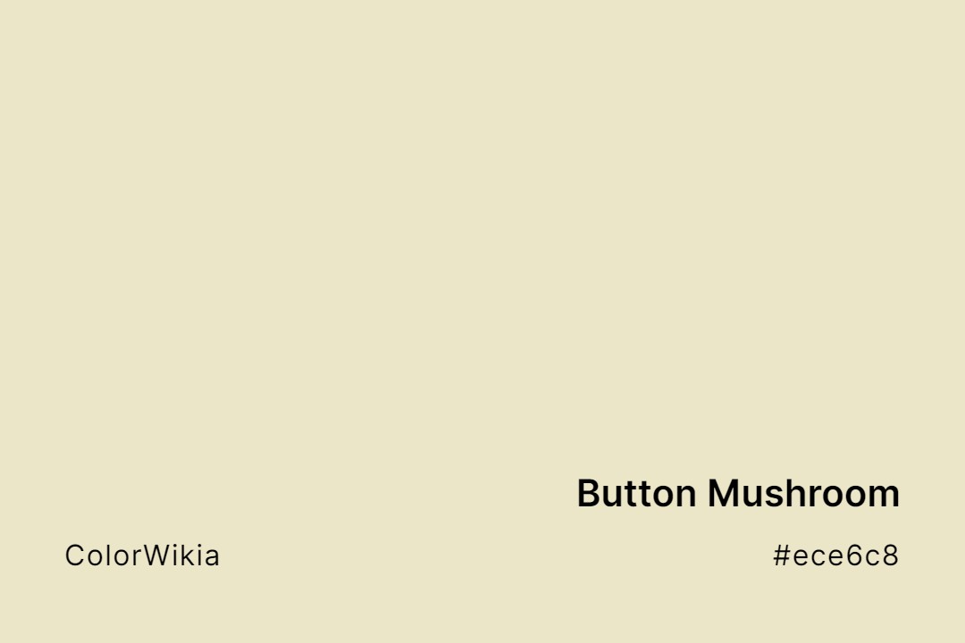 button mushroom color ece6c8