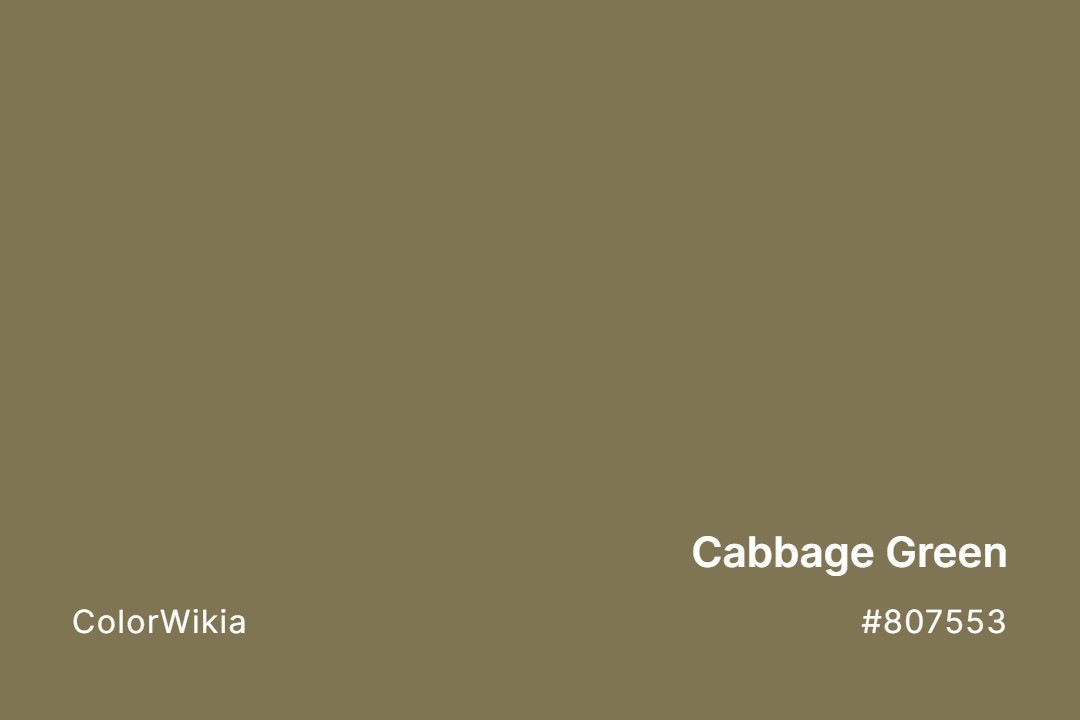 cabbage green color 807553