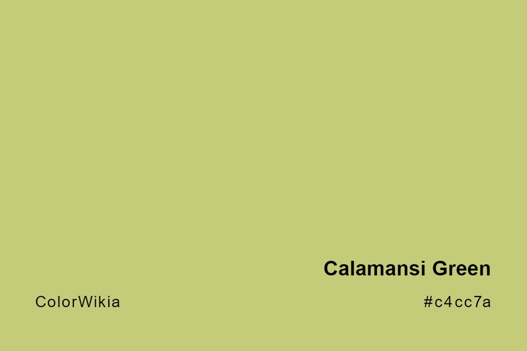 Calamansi Green Color – #c4cc7a: Codes and Complete Breakdown