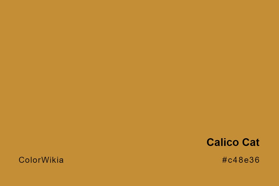 calico cat color c48e36