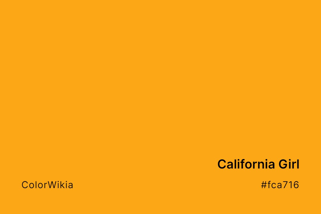California Girl Color – #fca716: Codes and Complete Breakdown