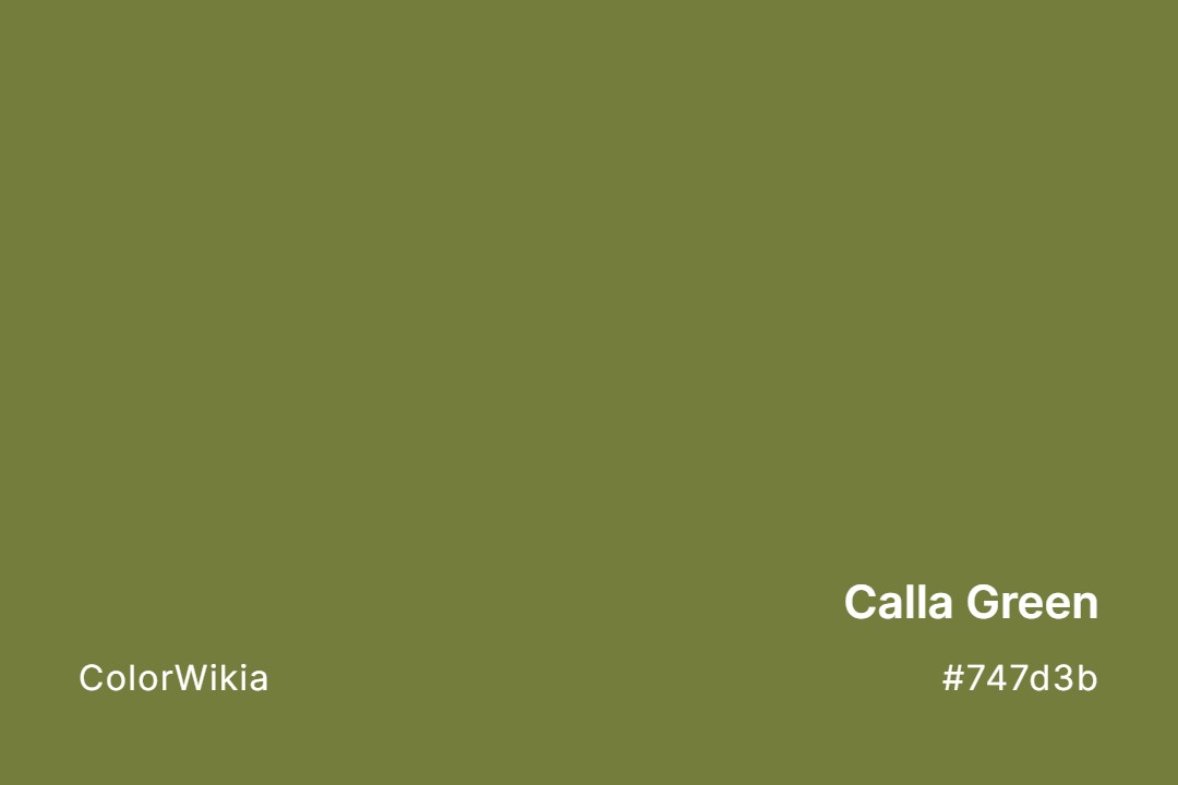 Calla Green Color – #747d3b: Codes and Complete Breakdown