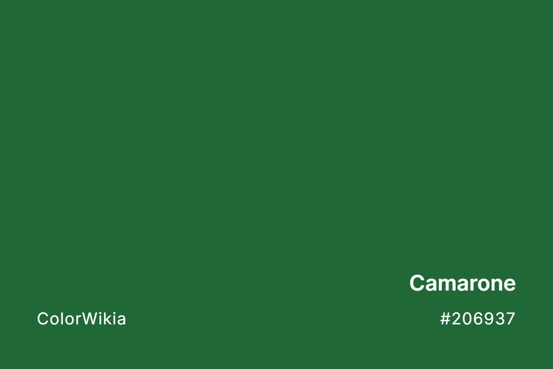 Camarone Color – #206937: Codes and Complete Breakdown