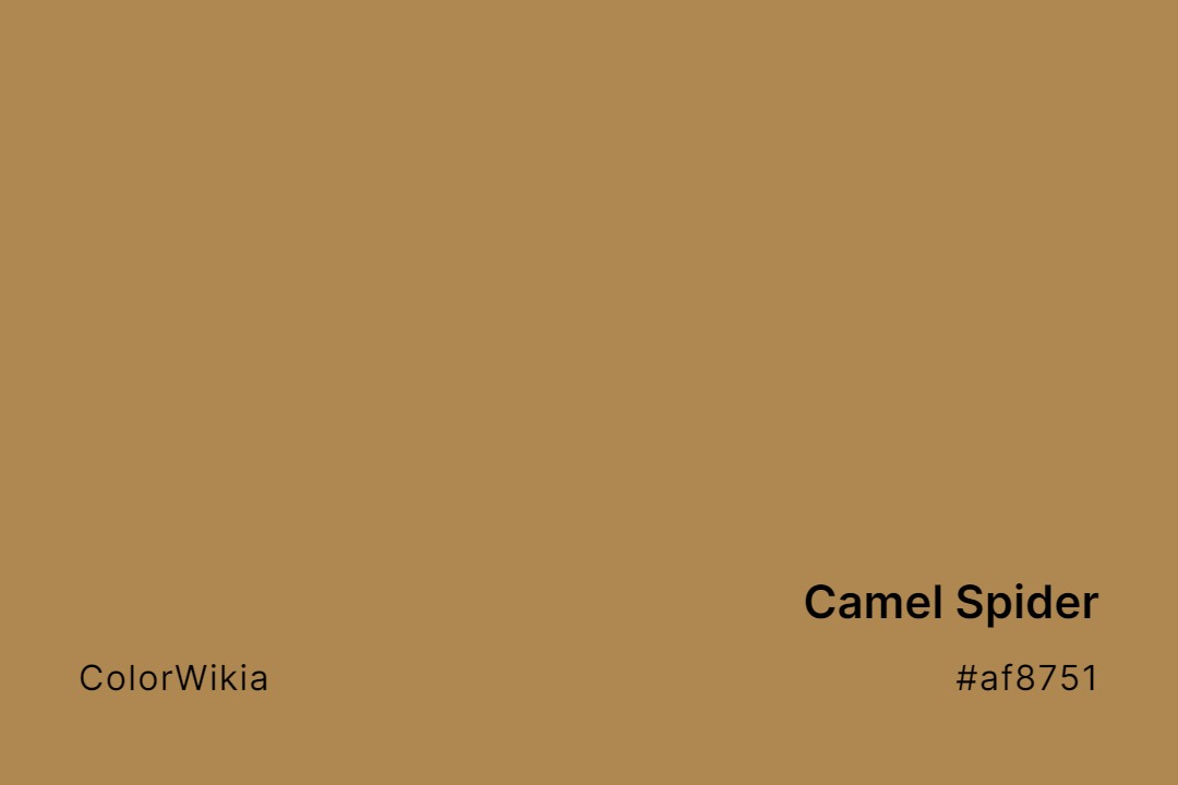 camel spider color af8751