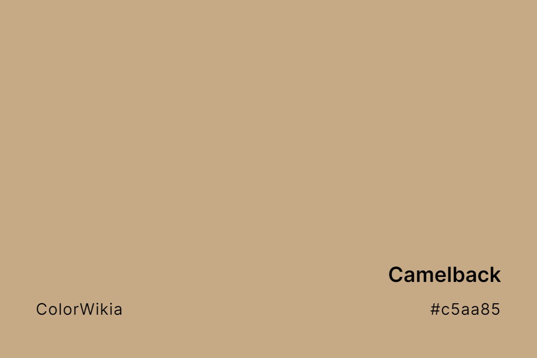 Camelback Color – #c5aa85: Codes and Complete Breakdown