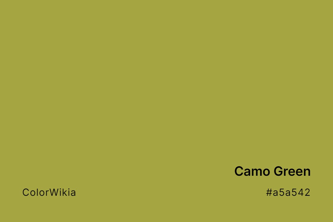 Camo Green Color – #a5a542: Codes and Complete Breakdown