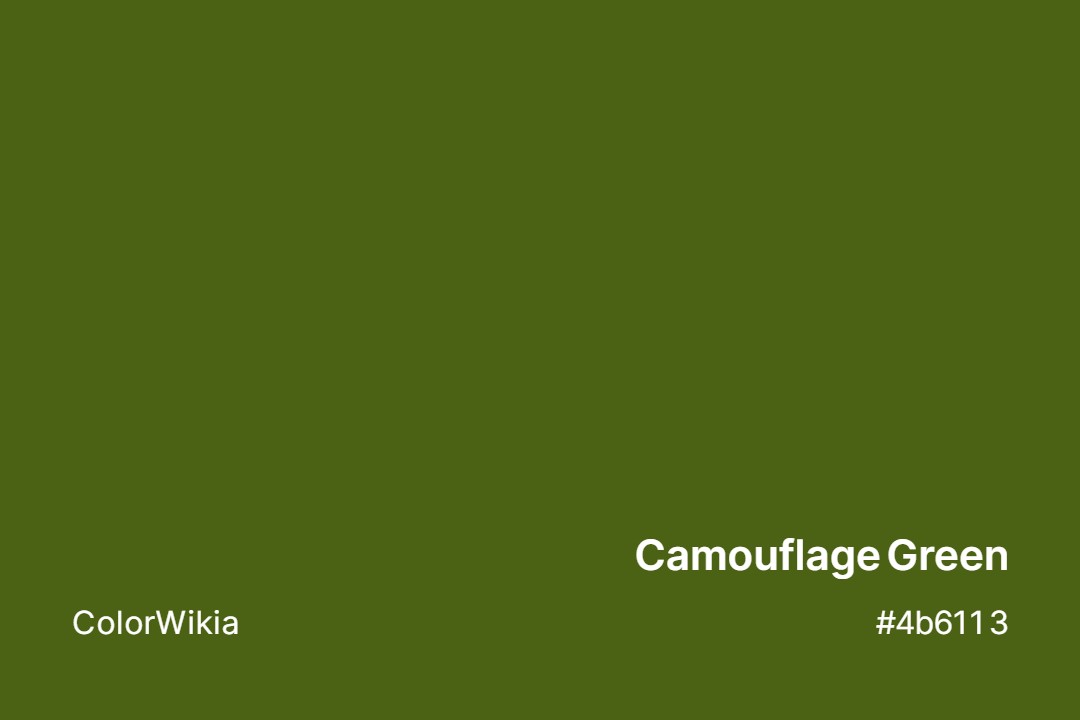 camouflage green color 4b6113