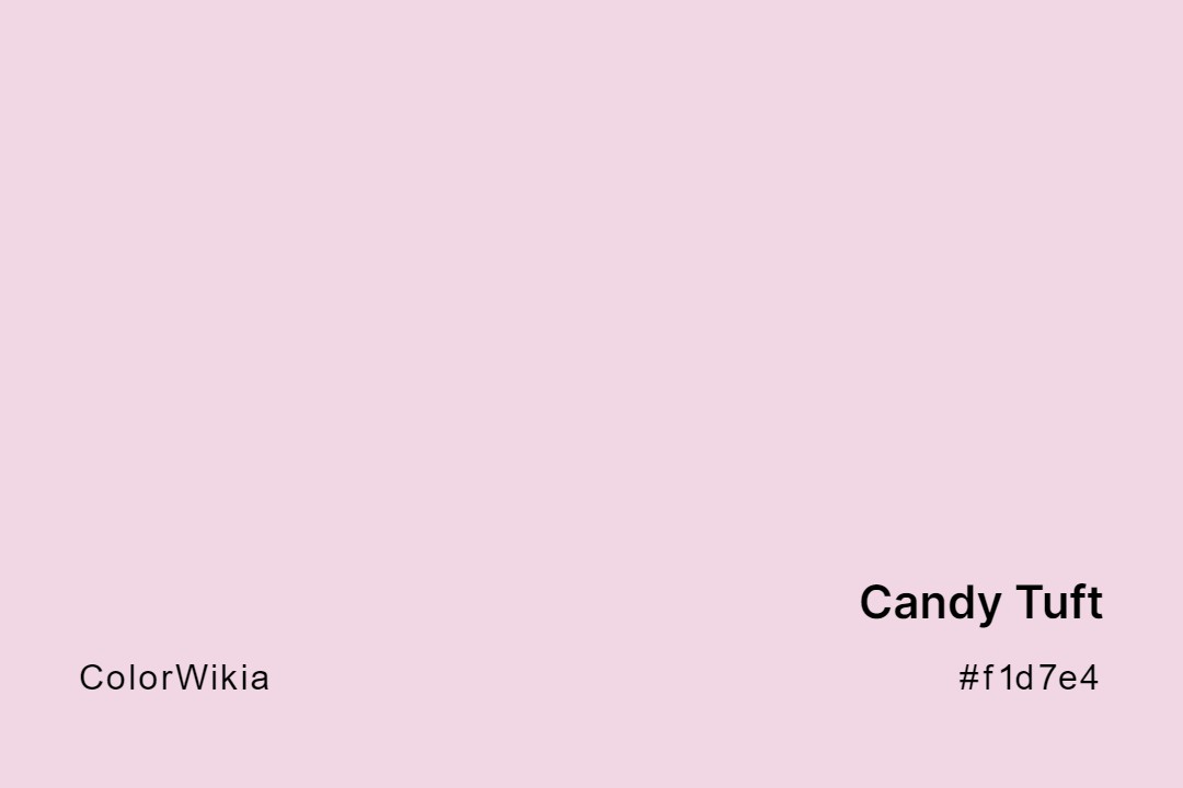 candy tuft color f1d7e4