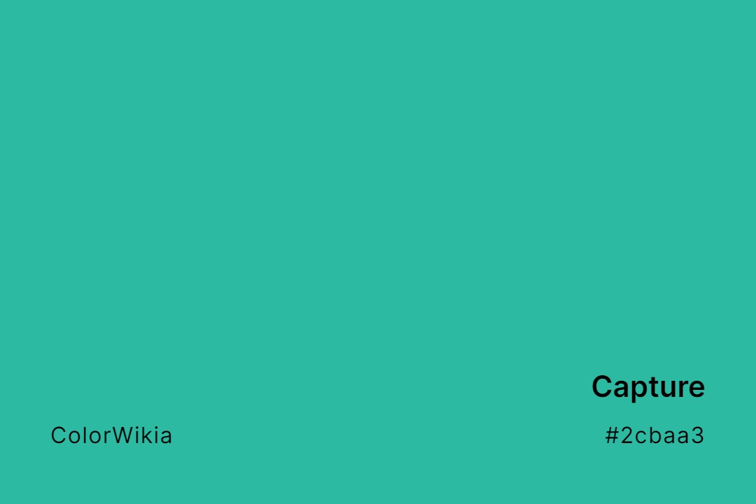 Capture Color – #2cbaa3: Codes and Complete Breakdown