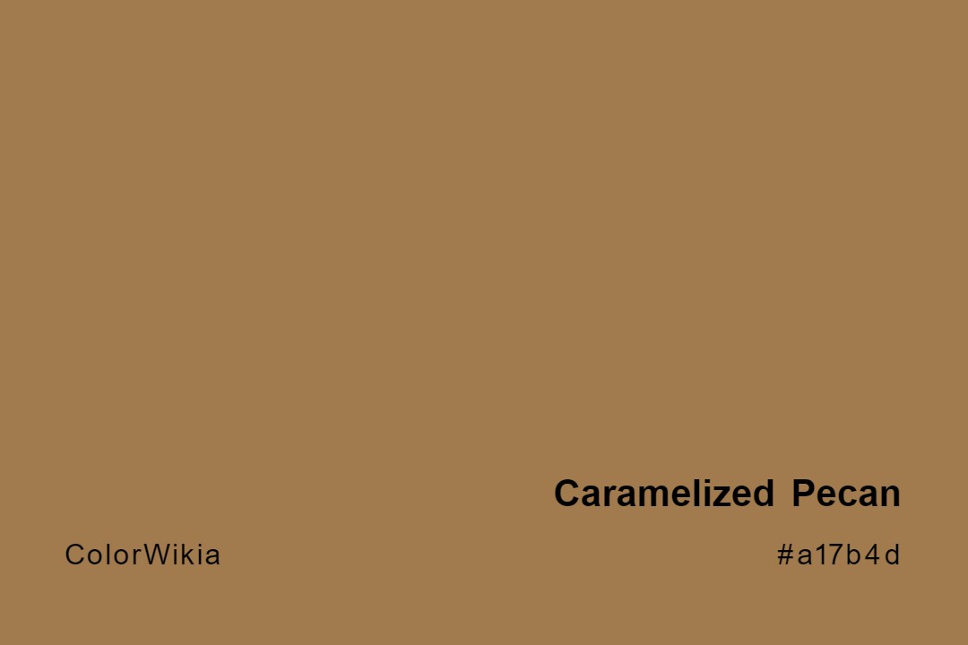 caramelized pecan color a17b4d