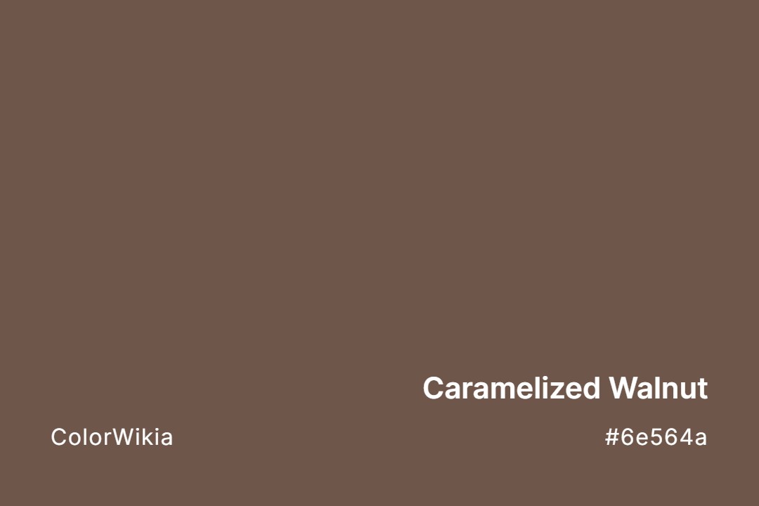 caramelized walnut color 6e564a