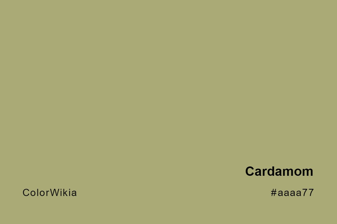 cardamom color aaaa77