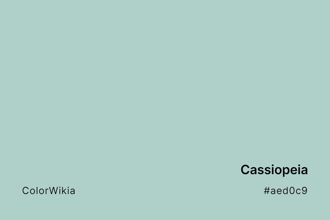Cassiopeia Color – #aed0c9: Codes and Complete Breakdown