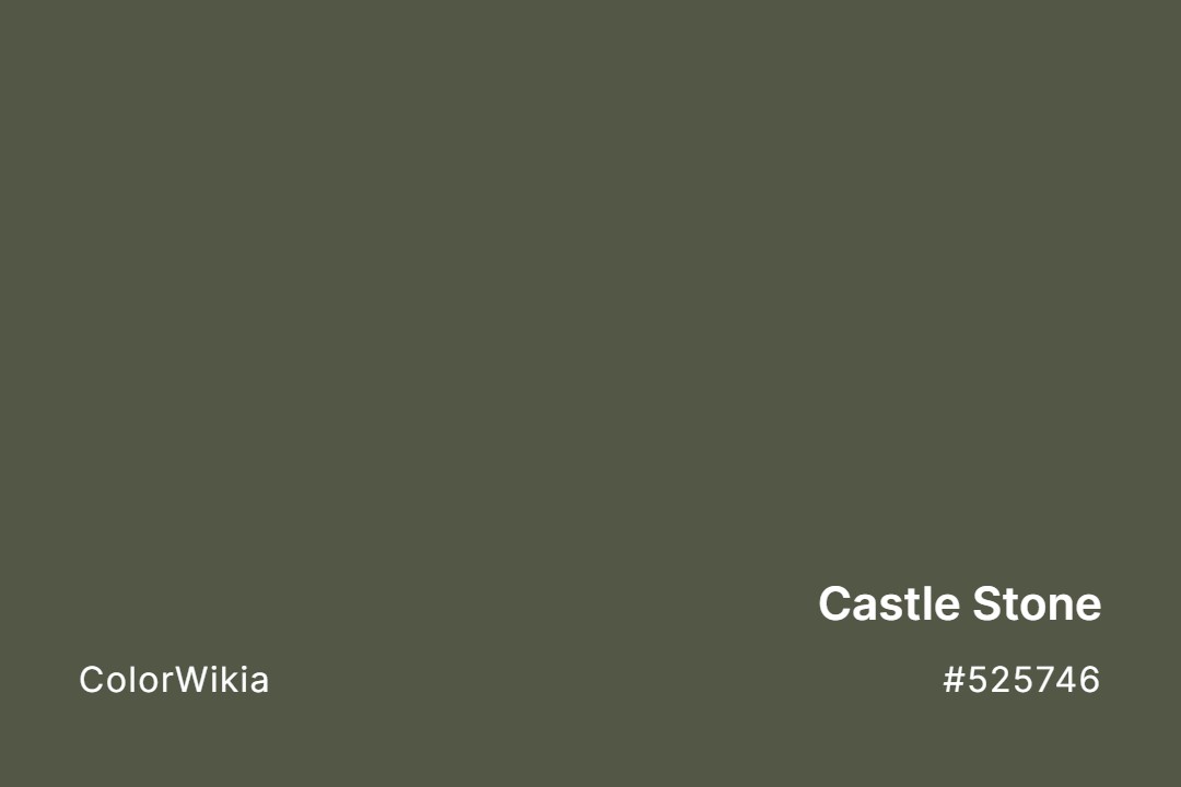 castle stone color 525746