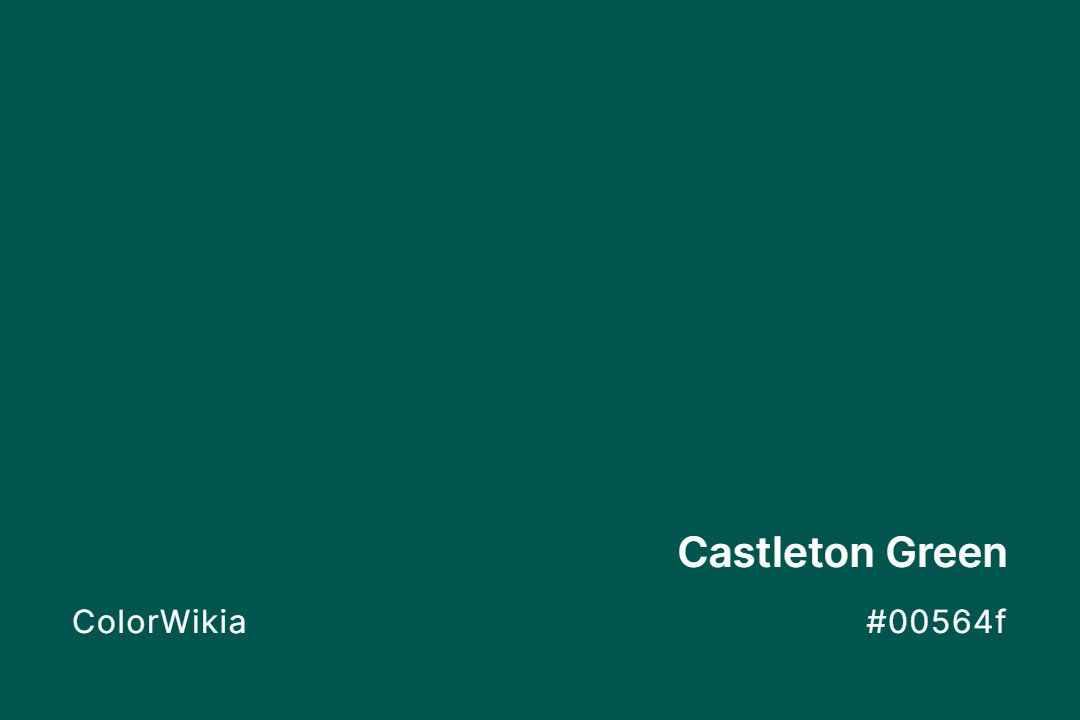 Castleton Green Color – #00564f: Codes and Complete Breakdown