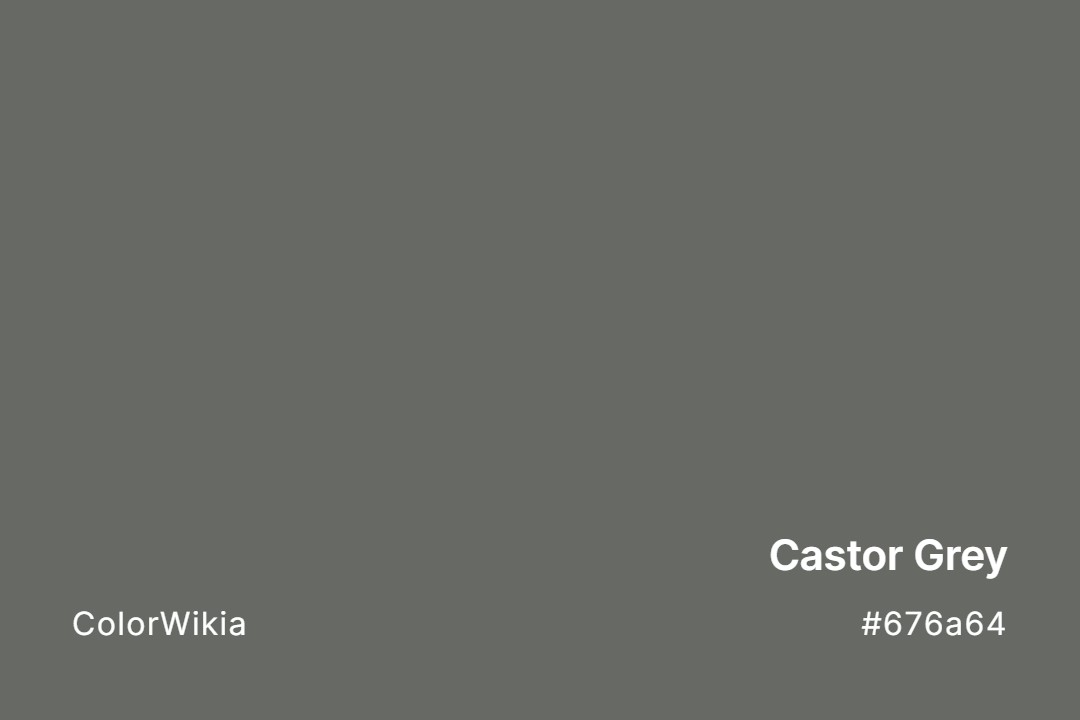 Castor Grey Color – #676a64: Codes and Complete Breakdown