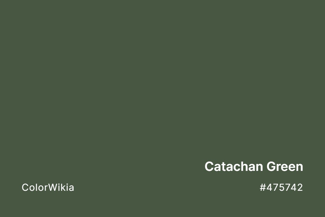 Catachan Green Color – #475742: Codes and Complete Breakdown