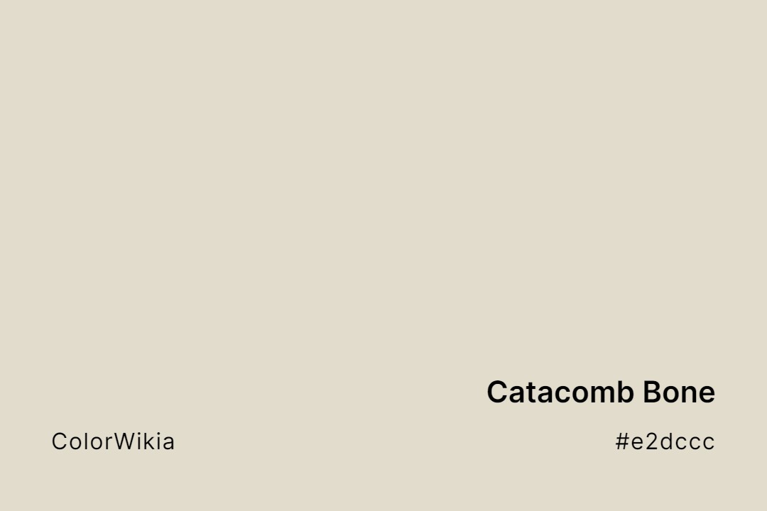 Catacomb Bone Color – #e2dccc: Codes and Complete Breakdown
