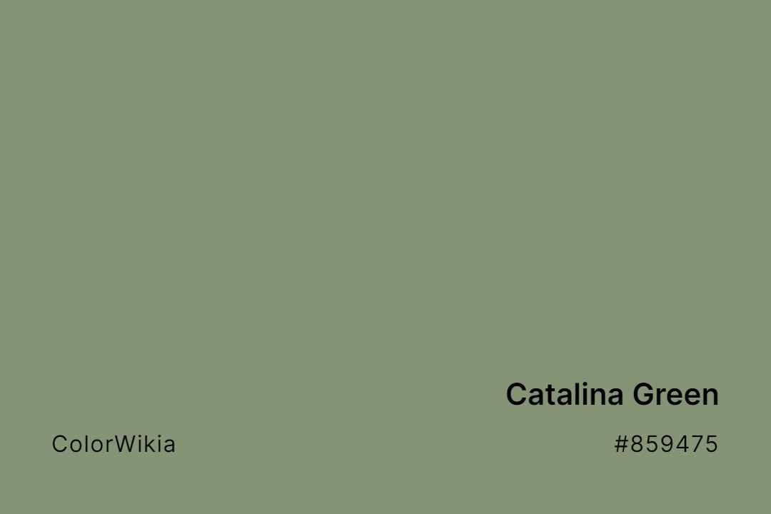 catalina green color 859475