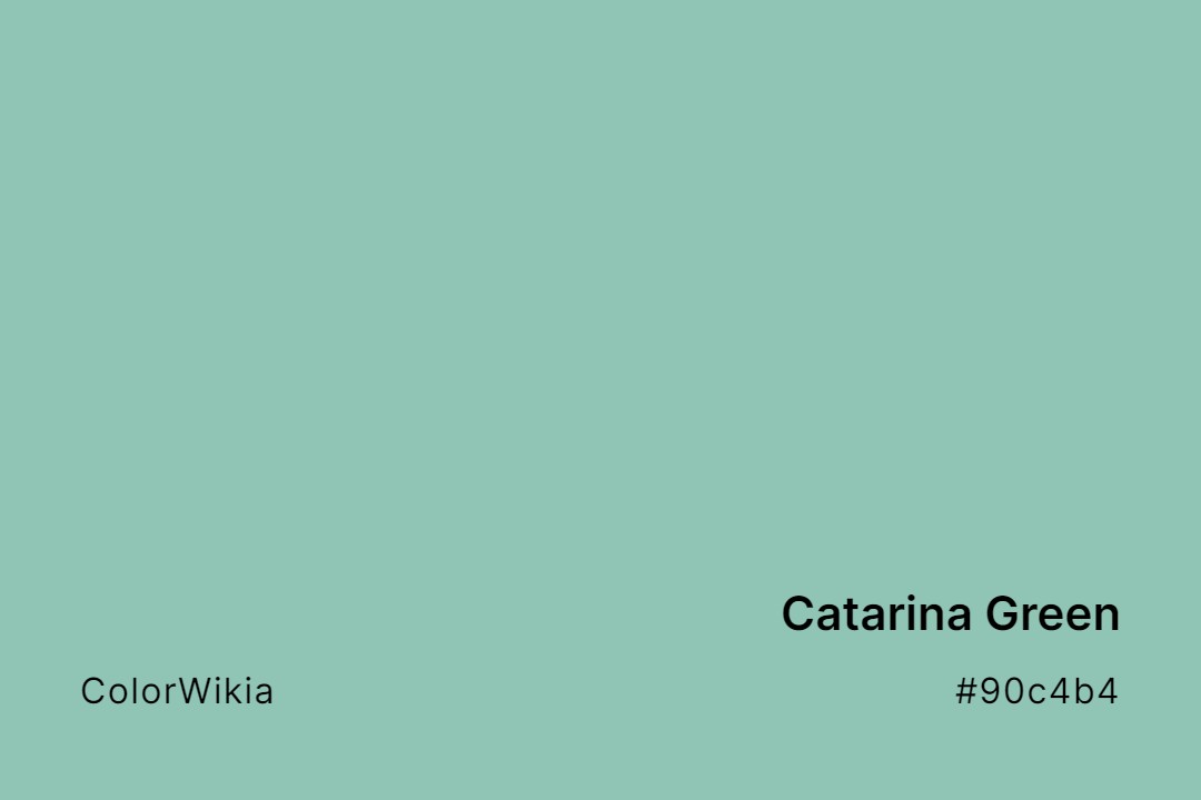 Catarina Green Color – #90c4b4: Codes and Complete Breakdown