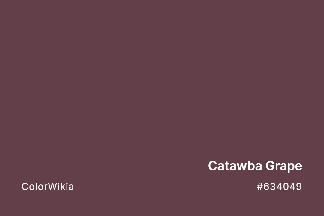 Catawba Grape Color – #634049: Codes and Complete Breakdown