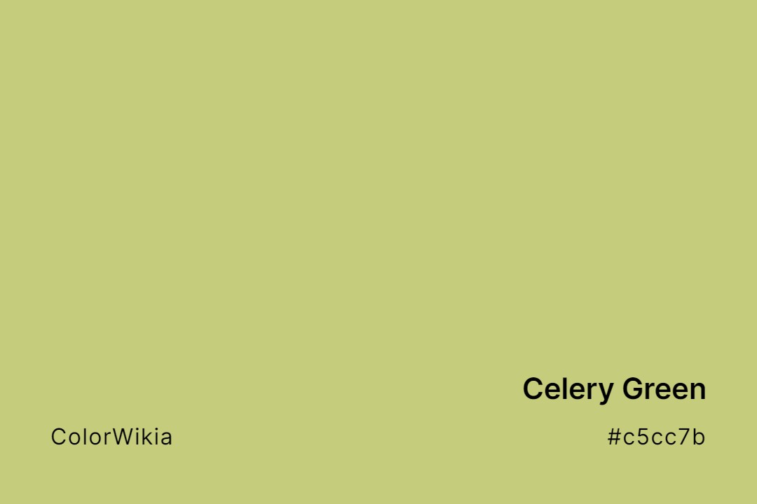 Celery Green Color – #c5cc7b: Codes and Complete Breakdown