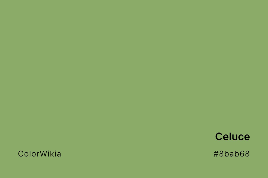 Celuce Color – #8bab68: Codes and Complete Breakdown