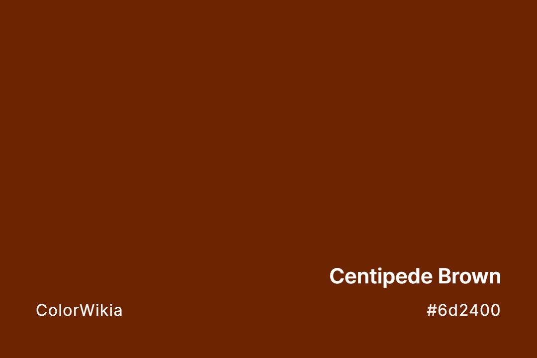 Centipede Brown Color – #6d2400: Codes and Complete Breakdown