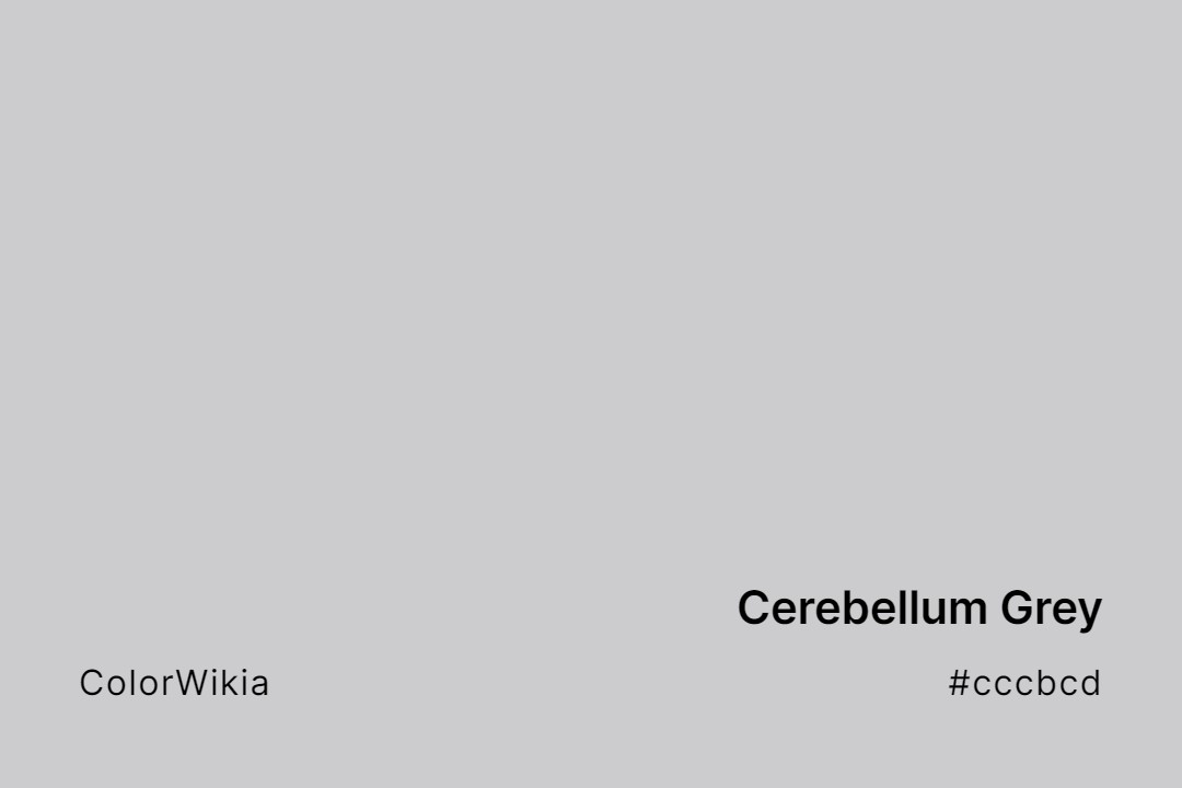 Cerebellum Grey Color – #cccbcd: Codes and Complete Breakdown