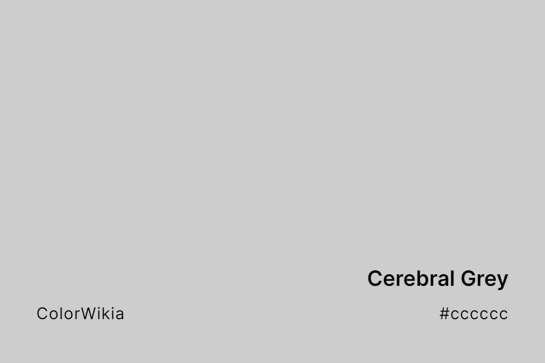 Cerebral Grey Color – #cccccc: Codes and Complete Breakdown