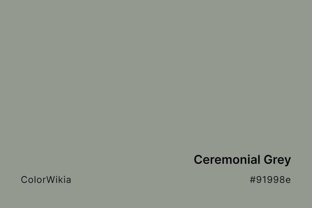 Ceremonial Grey Color – #91998e: Codes and Complete Breakdown