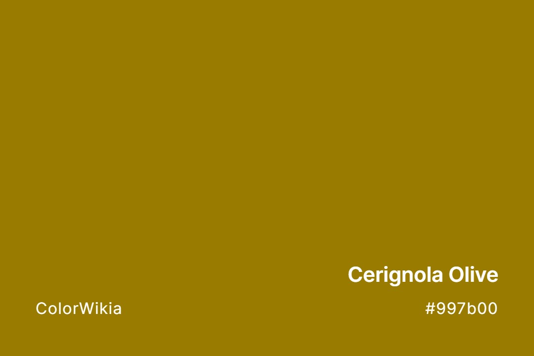 Cerignola Olive Color – #997b00: Codes and Complete Breakdown