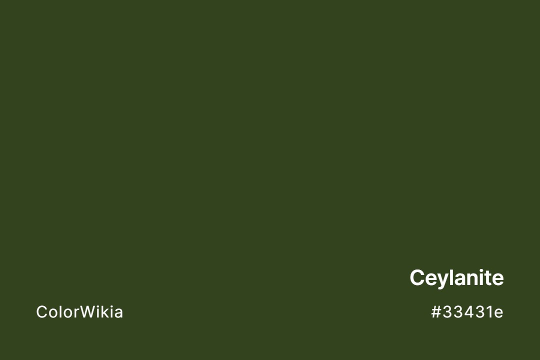 Ceylanite Color – #33431e: Codes and Complete Breakdown