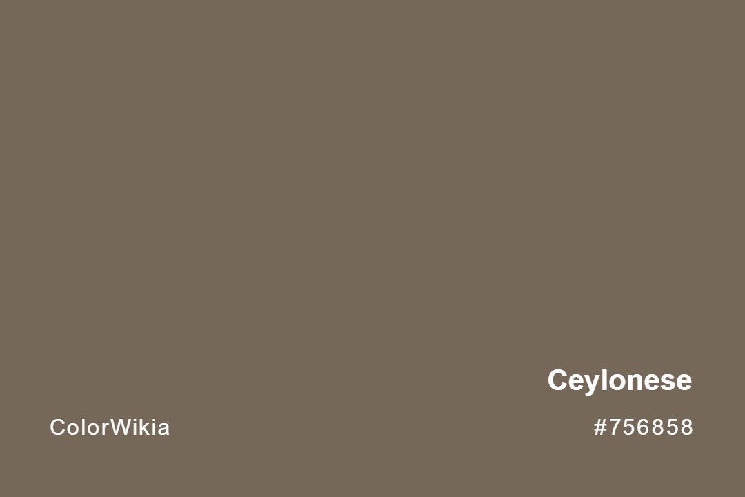 Ceylonese Color – #756858: Codes and Complete Breakdown