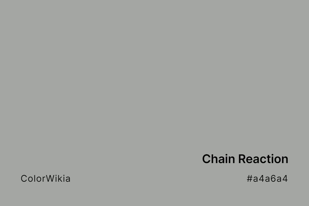Chain Reaction Color – #a4a6a4: Codes and Complete Breakdown