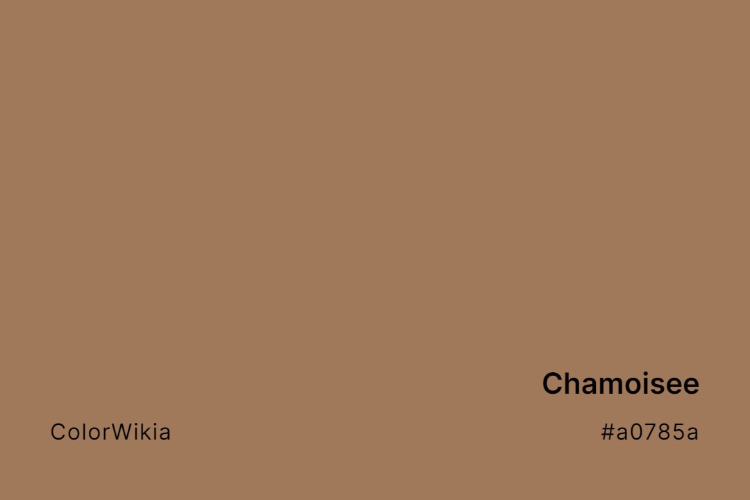Chamoisee Color – #a0785a: Codes and Complete Breakdown