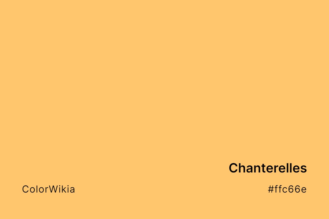 Chanterelles Color – #ffc66e: Codes and Complete Breakdown