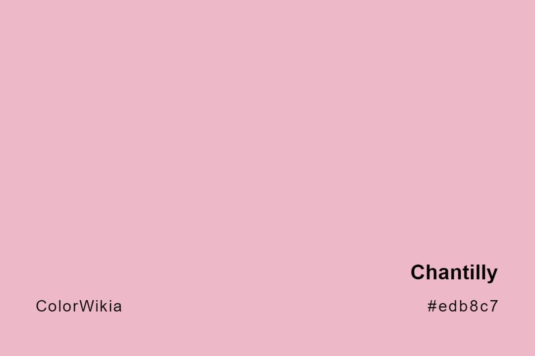 Chantilly Color – #edb8c7: Codes and Complete Breakdown