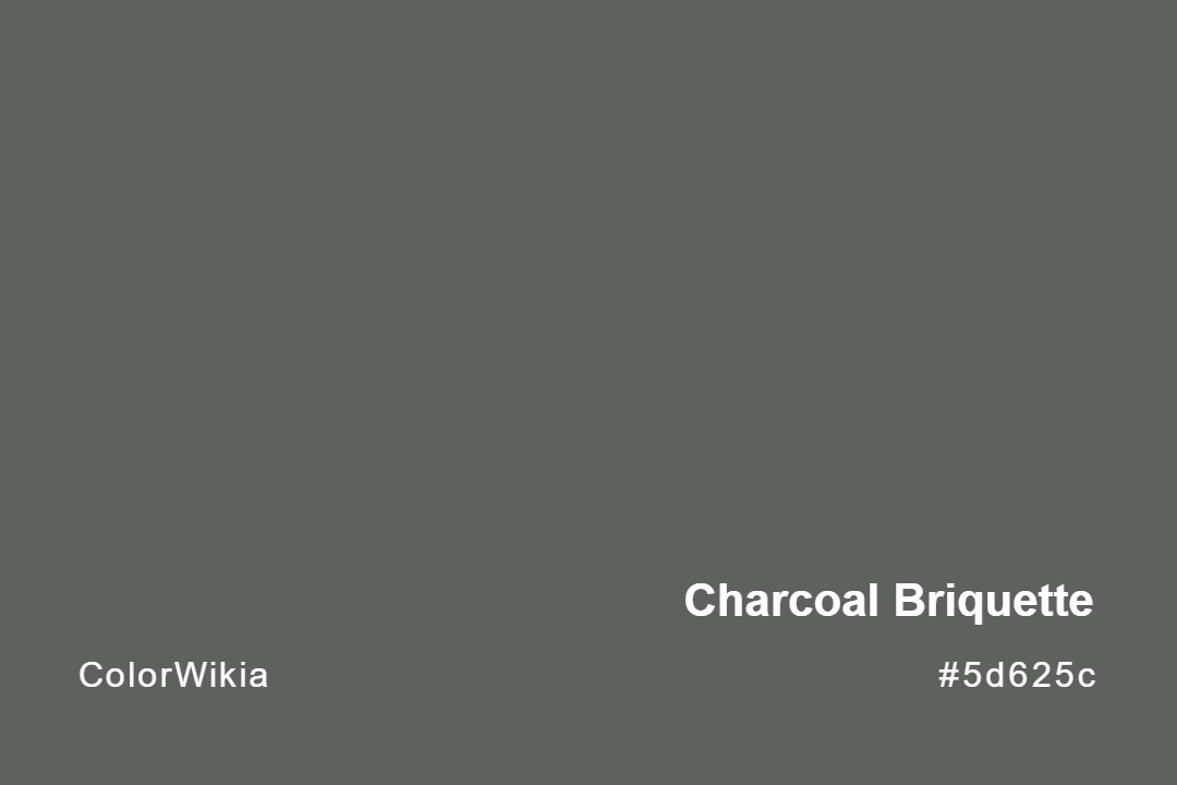 Charcoal Briquette Color – #5d625c: Codes and Complete Breakdown