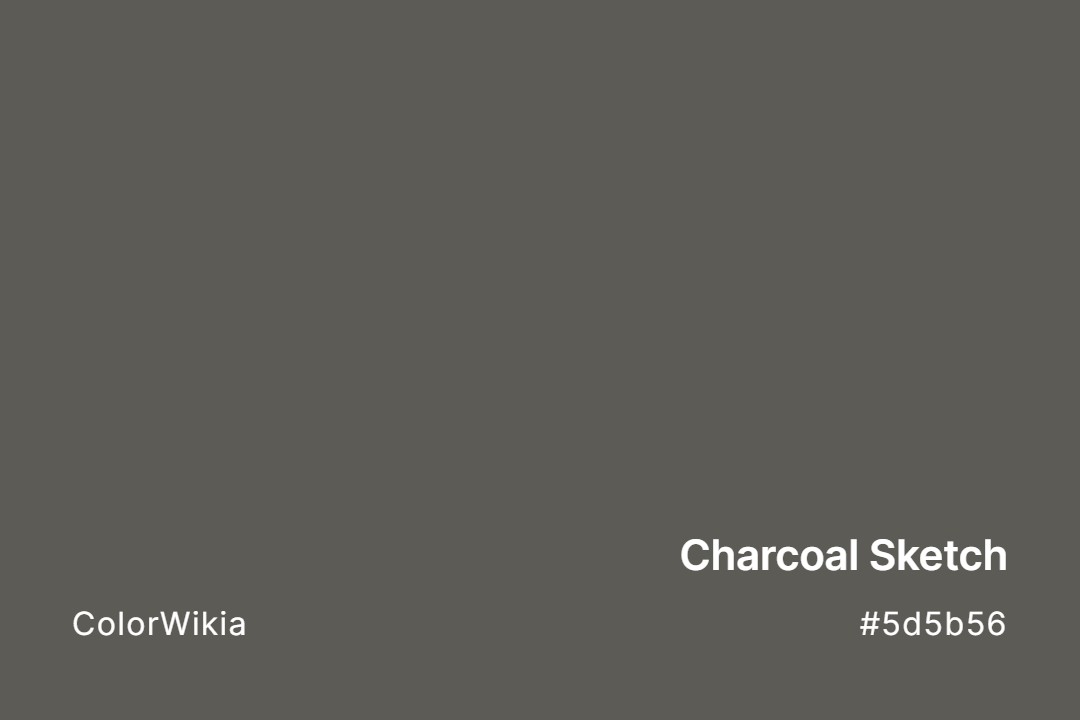 Charcoal Sketch Color – #5d5b56: Codes and Complete Breakdown