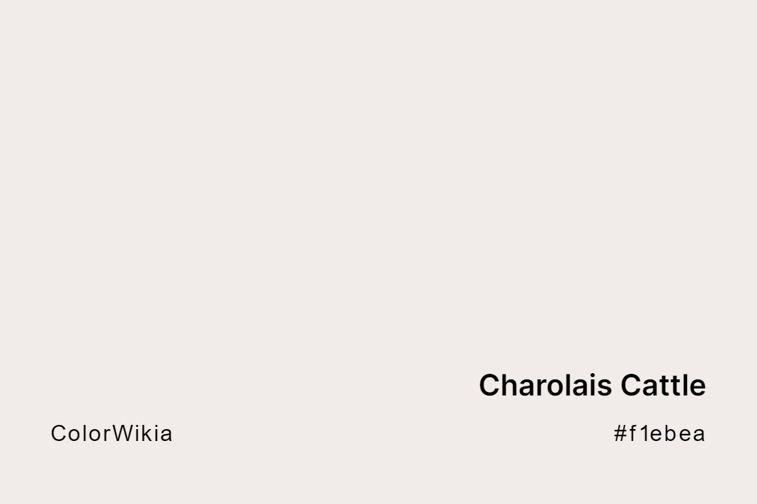 Charolais Cattle Color – #f1ebea: Codes and Complete Breakdown