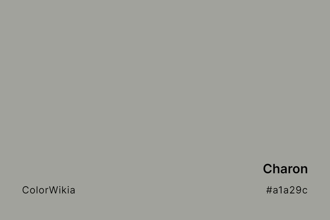 Charon Color – #a1a29c: Codes and Complete Breakdown