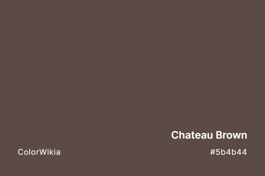 Chateau Brown Color – #5b4b44: Codes and Complete Breakdown